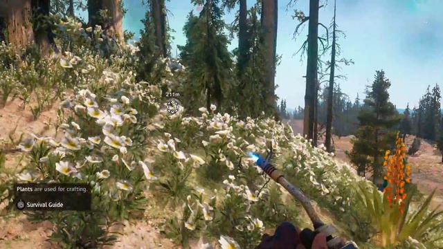 Far Cry New Dawn - Nihil Sub Sole Novum смотреть онлайн