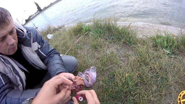 Сом на печень!На что ловить сома?Ловим на печень!Снасть на сома. смотреть онлайн