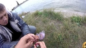 Сом на печень!На что ловить сома?Ловим на печень!Снасть на сома.