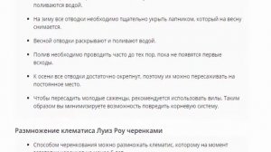 Клематис Луиз Роу, посадка и уход.