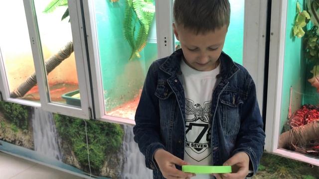 Змеиная ферма. ВЛОГ. ВЫСТАВКА РЕПТИЛИЙ . смотреть онлайн