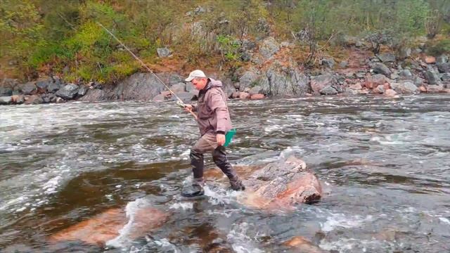 Рыбалка на Кольском полуострове | Попалась огромная Сёмга! #1 смотреть онлайн