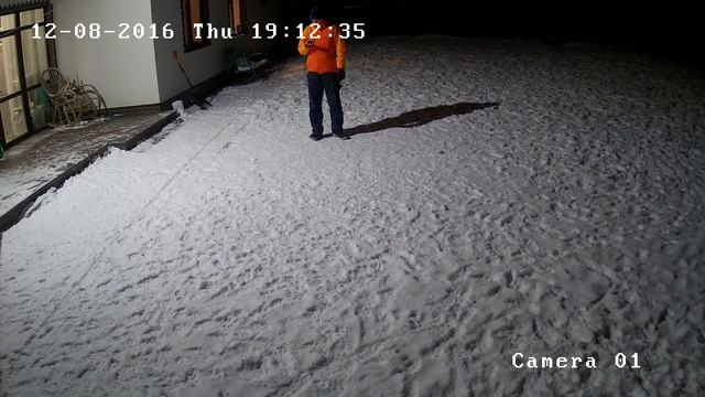 Хаски Онлайн. Husky Online (Камера на улице)