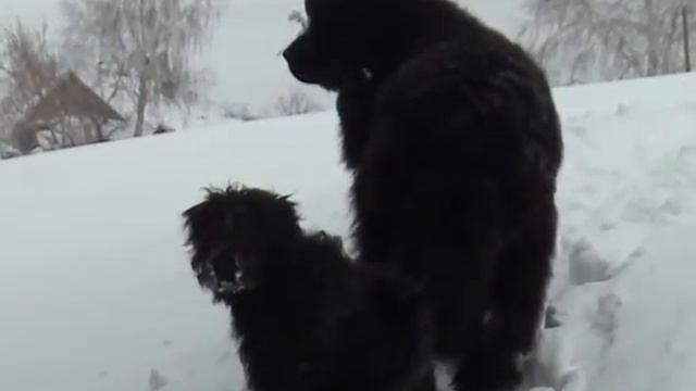 Кабы не было зимы.VOB смотреть онлайн