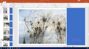 2 Класс  Русский язык Аюбова А.А. Составление рассказа по репродукции картины "Грачи прилетели"