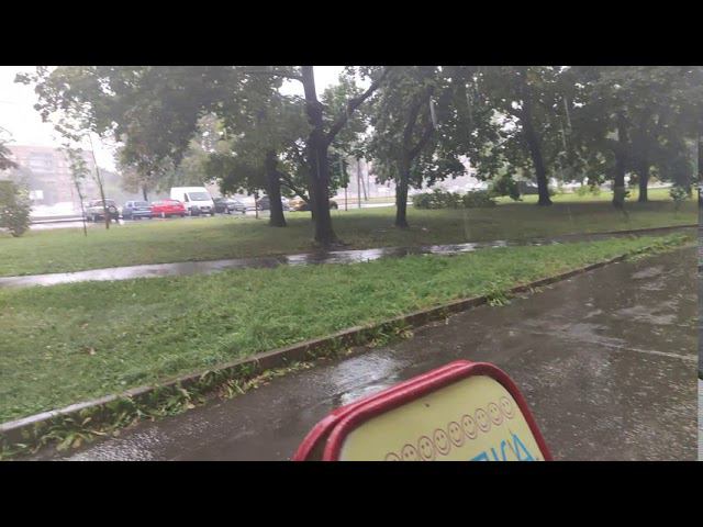 Тоже смотреть онлайн