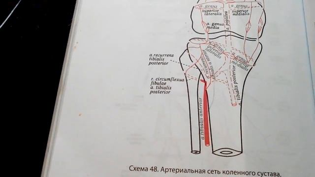3 21 Подколенная смотреть онлайн
