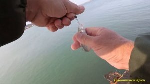 Морская рыбалка. Рокфишинг. Ставрида на силикон.