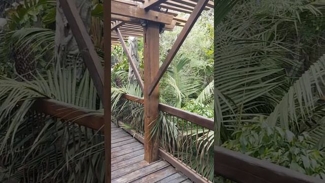 56 Jungle bridge Palma Aquarium 2022 смотреть онлайн