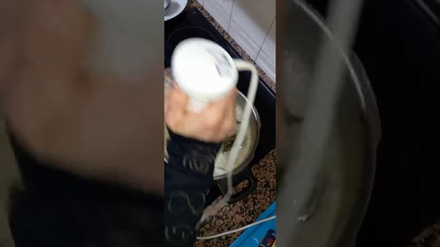 Tutorial...stevia de magisterio.¿Como se hace? смотреть онлайн