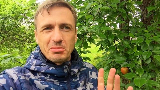 Провожу соц опрос по возрастам подписчиков смотреть онлайн