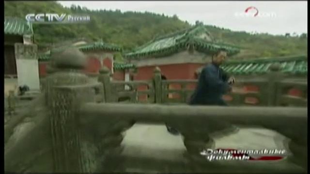Wu dang wushu Part 2 смотреть онлайн