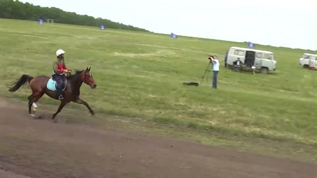 Конные Бега 2018 Орл.обл.г.Ливны смотреть онлайн