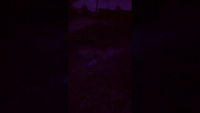 Бахаю мощный корсар 4 в луже подняло всю воду смотреть онлайн