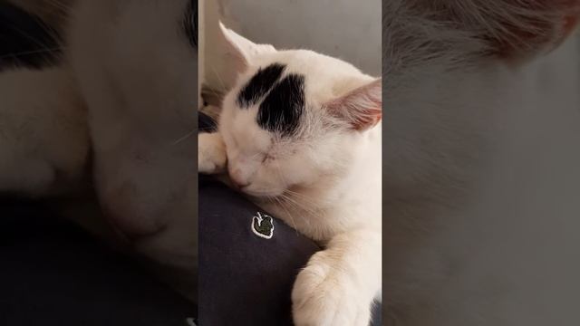 Когда ты поел и не обращаешь внимание на окружающих ?? смотреть онлайн