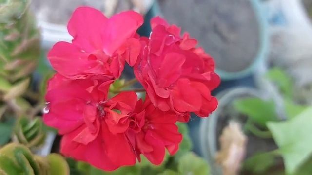 20 июня День Федота. Что нельзя делать в этот день. Народные приметы. смотреть онлайн
