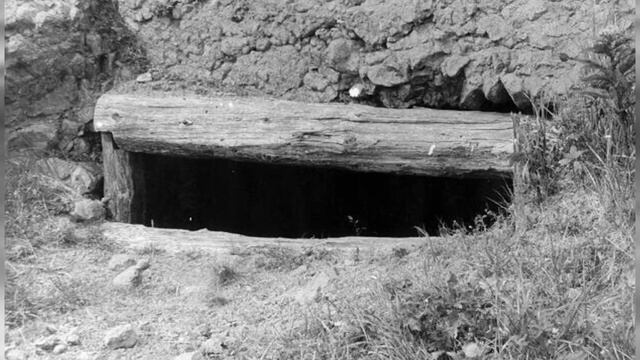 Что такое ДЗОТ?