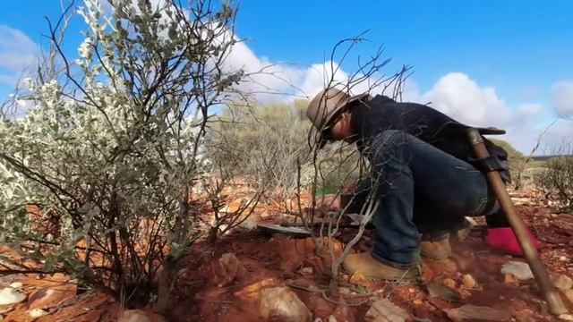 The Search for GOLD continues: Metal detecting with Lee from Savage Prospecting Part II смотреть онлайн