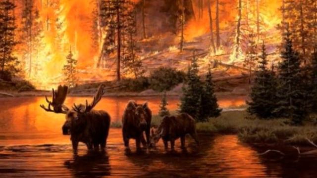 Дым над планетой . смотреть онлайн