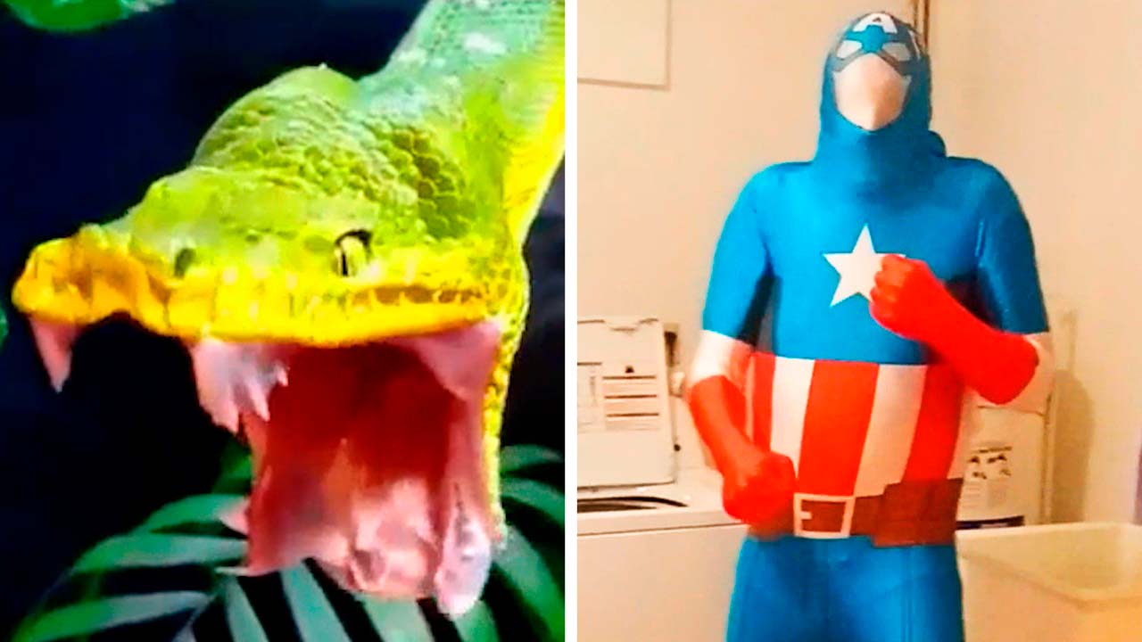 Популярные видео (9 часть) смотреть онлайн