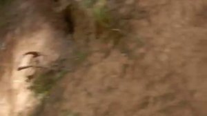 Озеро морской глаз!!!Республика Марий Эл)))