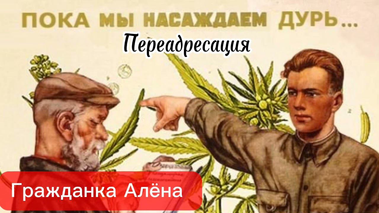 Выезд неизбежен смотреть онлайн
