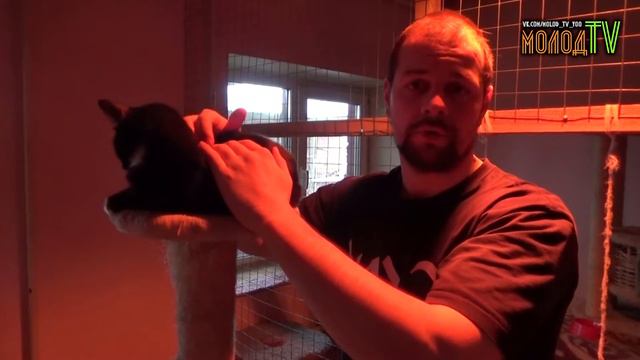 Ржевский приют для животных Санкт-Петербург смотреть онлайн