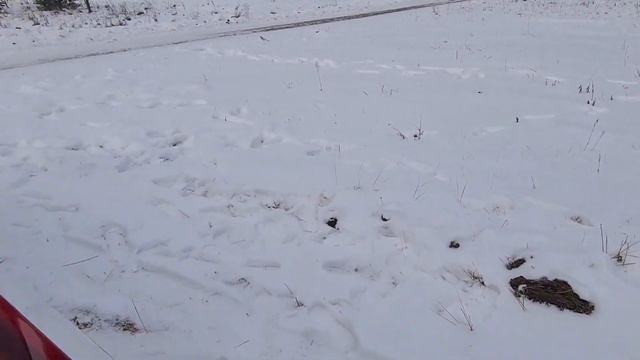 Peugeot 3008 Allure 2.0 HDi @pewneafcars