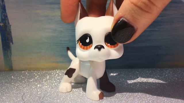 Lps распаковка дешевого пета с AliExpress 2ч. смотреть онлайн