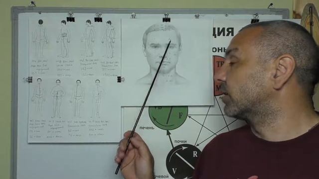 Точка Объединяющая все Чудесные Меридианы. Видео 3. смотреть онлайн