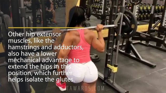 ASTOUNDING EXERCISES FOR GLUTE DEVELOPMENT (Brazilian She Hulk Alessandra Alvez Showcase) смотреть онлайн
