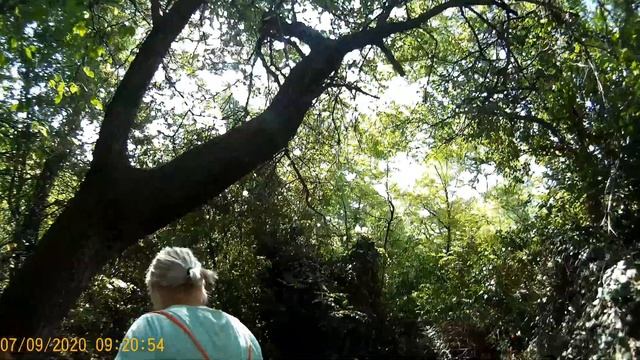 #8 Алупка Наше жилье и дорога на городской пляж смотреть онлайн