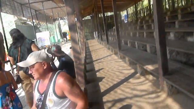 ШОК!!!!! ДЕВОЧКА VS СЛОНА смотреть онлайн