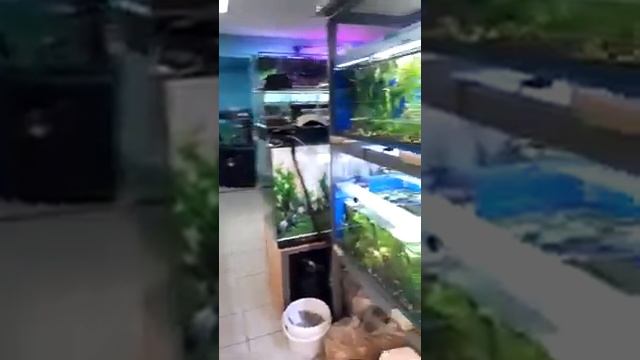 Магазин Аква Маркет Новосибирск Богдана хмельницкого 8 смотреть онлайн