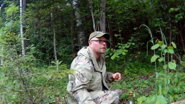 Первый выход по грибы 2017 смотреть онлайн