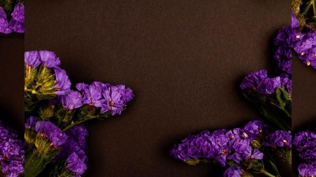 Душевная фоновая музыка с цветами смотреть онлайн
