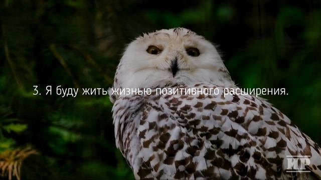 Дай себе ОБЕЩАНИЯ и сдержи его несмотря ни на что смотреть онлайн