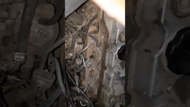 Mitsubishi Pajero 4M40 love this sound смотреть онлайн