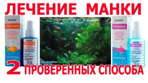 Как лечить аквариумных рыбок от манки ихтиофтириоза: лучшие методы на сегодняшний день.