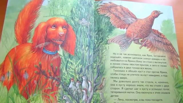 М. Пришвин. Про птиц и зверей смотреть онлайн