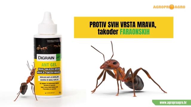 Insekticid Digrain Ant gel učinkovito sredstvo protiv mrava смотреть онлайн