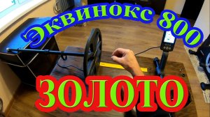 Как видит золото Эквинокс 800 в разных режимах поиска! Коп с металлоискателем Эквинокс 800