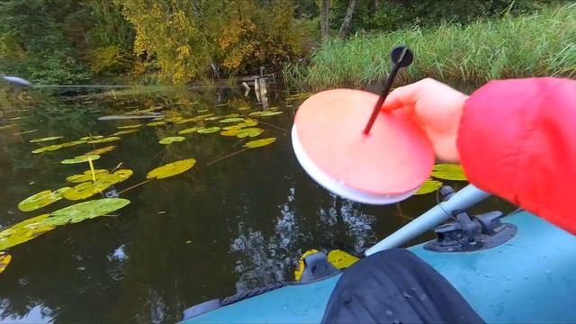 Как ставить живца на кружки.Как ставить кружки на хищника. смотреть онлайн