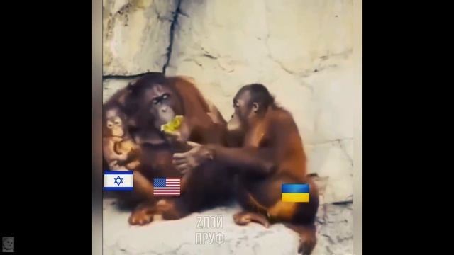 Минутка юмора смотреть онлайн