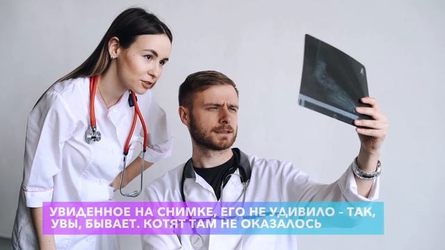 Вы не поверите, что нашли в животе этой кошки!