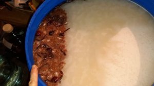 Ареометр АС-3. Для начинающих...