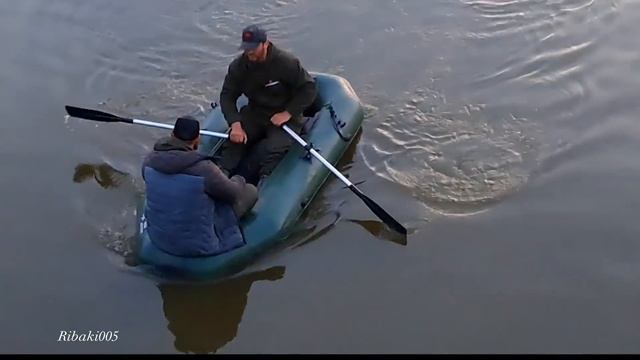 Бешеный клёв дикого сазана.Рыбалка с ночевкой.Приготовили сазана на 7кг смотреть онлайн