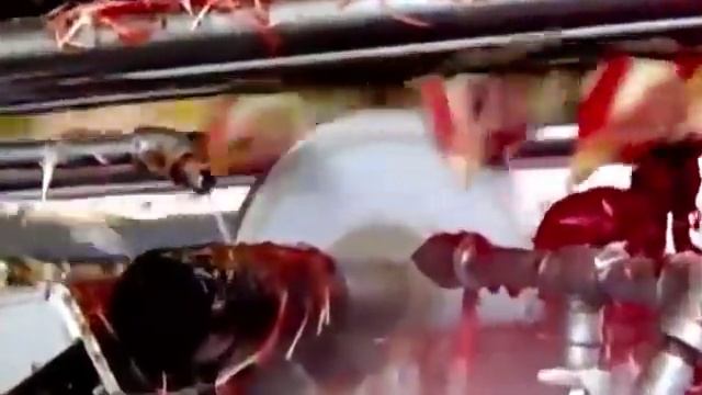 Еще мусульман называют зверьми за то что режут баранов смотреть онлайн