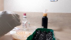 ПЕТУНИЯ ВЗОШЛА И УПАЛА.ПОЧЕМУ ПРОПАДАЕТ РАССАДА. ГЛАВНЫЕ ОШИБКИ В УХОДЕ. ПОСЕВ ПЕТУНИИ №2