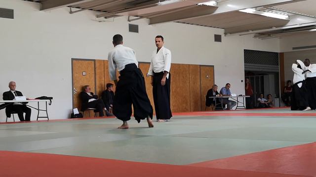 Lionel aïkido 4eme dan 8 juin 2019 смотреть онлайн